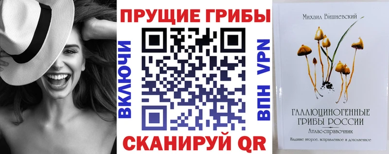 Псилоцибиновые грибы MAGIC MUSHROOMS  Купить где  Михайловск 